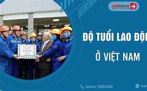 Độ Tuổi Lao Động Ở Việt Nam 2022 Là Bao Nhiêu Tuổi