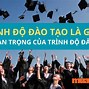 Trình Độ Đào Tạo